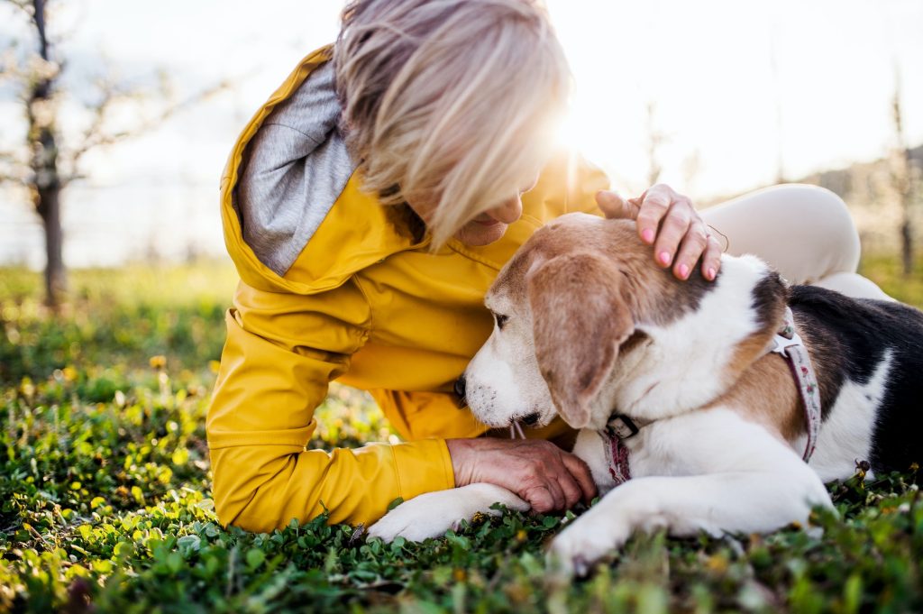 Front view of senior woman lying on grass in spring, petting pet dog